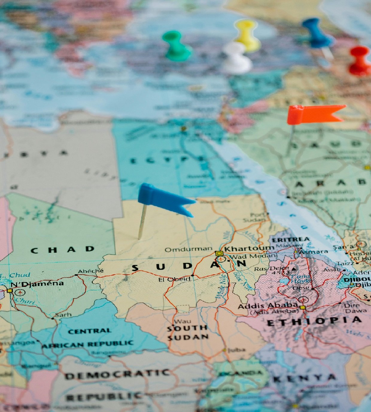 Unemployment Challenges Faced by Ethiopian Diaspora Communities